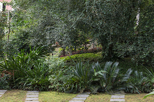 Jardim tropical no meio da mata atlântica com caminho para pedestres e estacionamento de carros