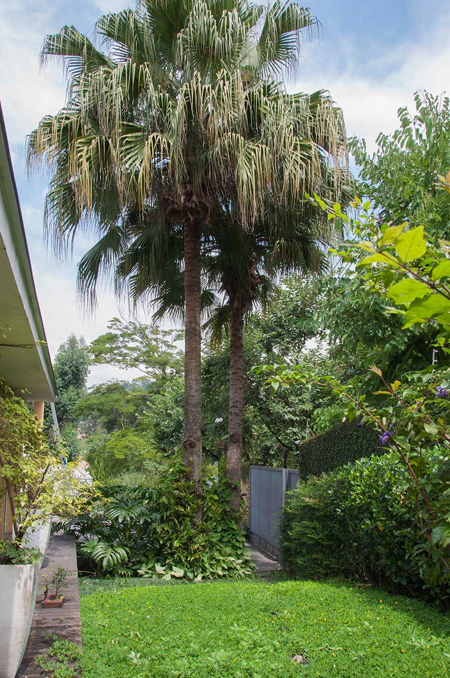 Casa com Piscina e Jardim Tropical