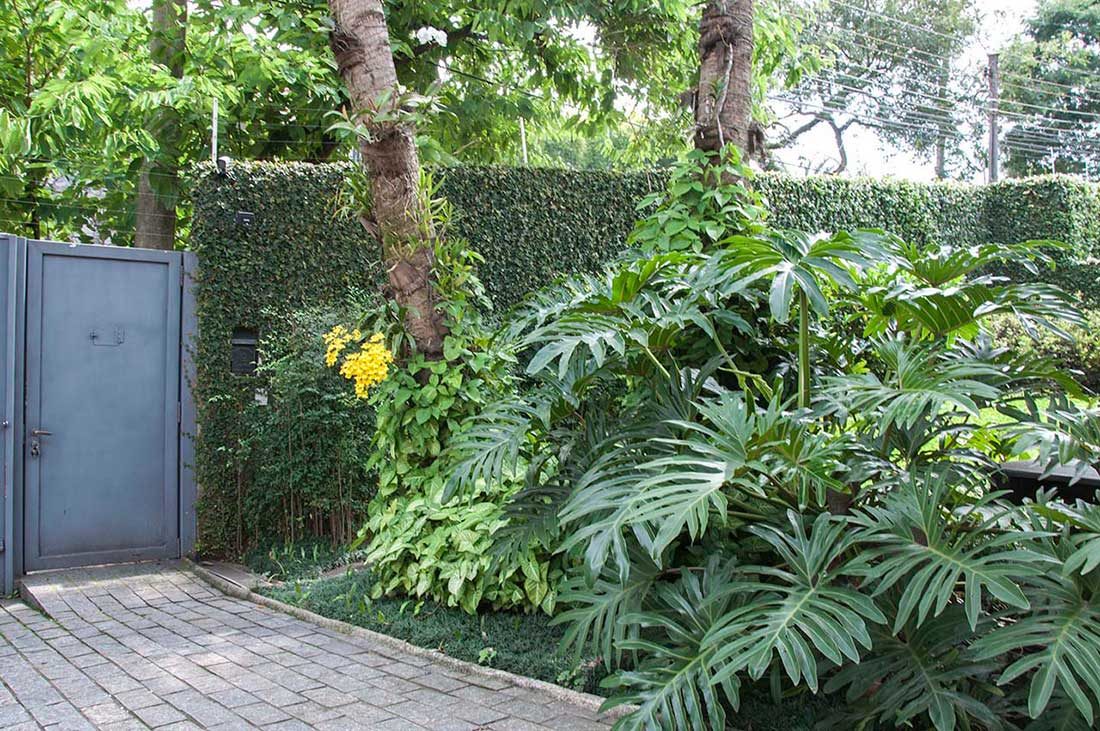 Casa com Piscina e Jardim Tropical