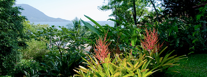 Jardim casa de praia com vista para o mar e para a Ilha Bela